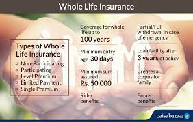 Whole Life Insurance Check Compare
