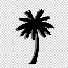 Palm Tree Icon Png Images Vectors Free