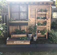 Garden For Free By Using Pallets