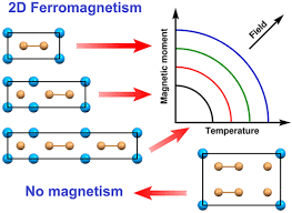 Two Dimensional Magnets Beyond The