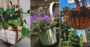 14 Diy Hanging Baskets To Display Your