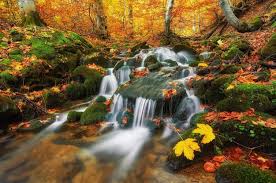 Waterfall Garden Images Free