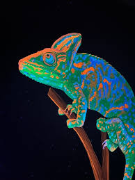 Veiled Chameleon Black Light Painting