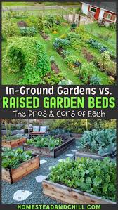 Raised Garden Beds Vs In Ground Beds