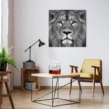 Empire Art King Of The Jungle Lion Frameless Free Floating Tempered Glass Panel Graphic Wall Art