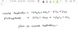 Plants Perform Cellular Respiration