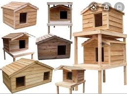 Pin By Bluejems On Outdoor Cat Houses