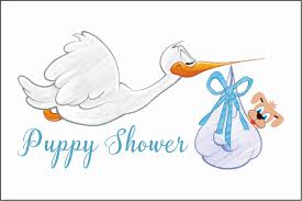 How To Throw The Perfect Puppy Shower