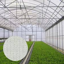 White Shade Net For Agriculture Size
