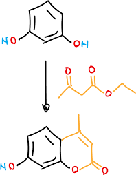 7 Hydroxy 4 Methyl Coumarin Chemistry