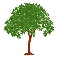 Salix Caprea Tree Icon Design Flat