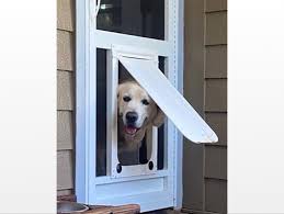Screen Doors For Pets Pet Doors Pca