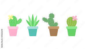 Cute Cactus Set Four Diffe Cacti