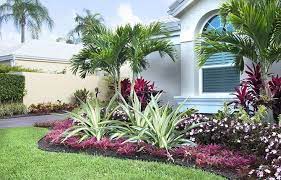 Tropical Landscape Design