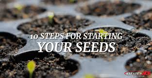 10 Steps To Starting Seeds Sneades