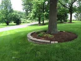 Landscaping Ideas Around Trees That