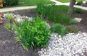 Landscaping Live Green Howard County