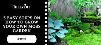 How To Grow Your Own Moss Garden In 5