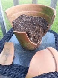 Fairy Garden From A Broken Clay Pot