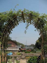 Bamboo Arch Trellis Garden Archway