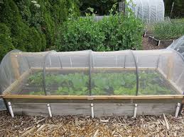 Veg Netting Frame On A Budget 79