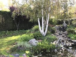 Landscaping Santa Barbara Mountain