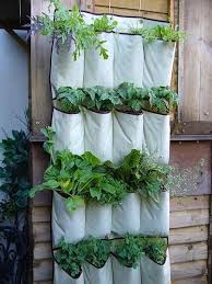 Easily Grow A Lush Vertical Garden
