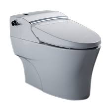 Aerozen Shower Toilet 305mm American