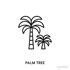 Palm Tree Vector Line Icon Simple