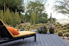 Waterwise Cactus Garden Photo Gallery