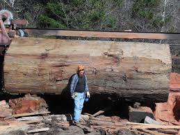 mcmullin sawmill salvage redwood s