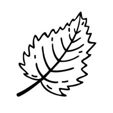 Tree Leaf Vector Icon Hand Drawn