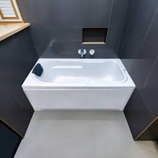 Bathtub Rex 5 5 Feet By 2 5 Feet