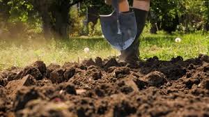 Tillage Gardener Digging Soil