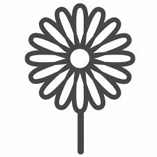 Blossom Botany Chamomile Daisy