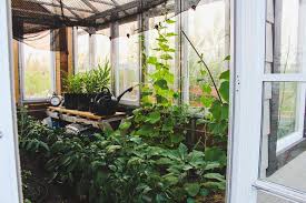 Building A Diy Backyard Greenhouse