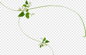 Noe Png Pngwing