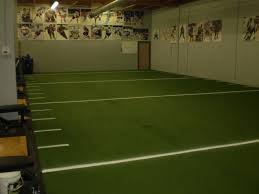 Basement Turf Field Home Basketball