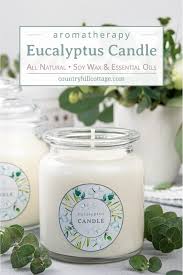 Eucalyptus Candle Diy Aromatherapy
