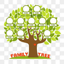 Family Tree Png Vector Psd And