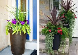 Gardening Formula For Tall Planters