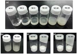 Cellulose Nanocrystals Hybrid Hydrogels