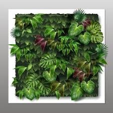 Plant Wall Images Free On