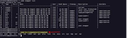 create btrfs snapshots with snapper in