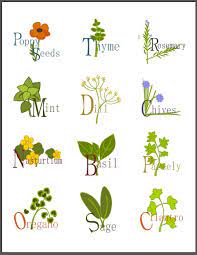 Labels For You Herb Jars Containers And