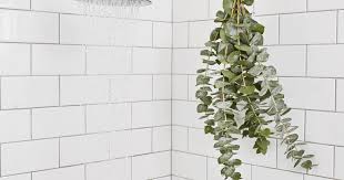 Put A Bunch Of Eucalyptus In Your Shower