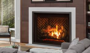 Enviro S Gas G50 Gas Fireplace