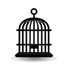 Bird Cage On Transpa Background