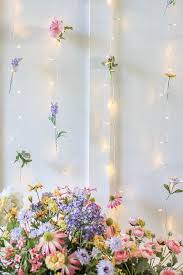 Flower Wall With Twinkle Light Curtain