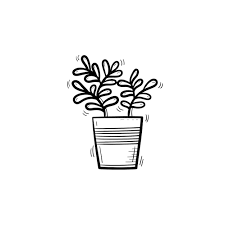 Vector Hand Drawn Ficus Outline Doodle